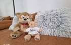 Pet Friendly! Apartament 2 camere decomandate/mobilat/etaj 1-Adriatica - 11