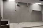 Spatiu Comercial 336 mp - Ultracentral, Piata Victoriei (Investitie) - 3