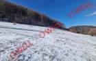 Teren agricol de 5049 mp, în Vama Buzăului - 2