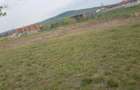 Teren de vanzare in Rontau judetu Bihor - 1