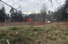 Teren cu 2 izvoare, Prundul Bargaului - 1