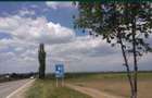 Teren în Tăbărăști - 5