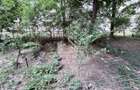 Apartament cu o camera parter Blascovici - 6