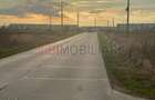 Teren de vanzare - 22800mp - Parc Industrial km 23 - 5