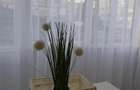Apartament cu 3 camere semidecomandat în Girocului - 4