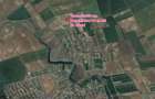 Teren Construcții intravilan de 10000 mp, în Corbeanca - 4