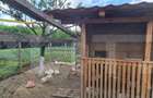 Casă cu 4 camere cu Teren 1800 Mp în Central - 13