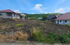 Teren Chinteni, 756 mp,zona lacului, intre case, front la 2 strazi - 3