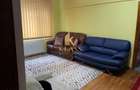 de inchiriat apartament 3 camere zona Arena Nationala - 11