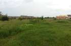Teren 1500mp Domnesti, Str. Ghioceilor, Deschidere 43m Toate utilitatile, Ideal Proiect Case / Duplex - 1