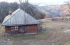 Casa de vanzare muntii apuseni - 2