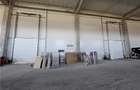 Spatiu Industrial - 2300 mp - Productie - Depozitare - 7