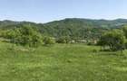 Teren de vanzare Com Berislavesti, Valcea - 1