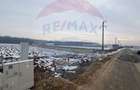 Teren Construcții de 6210 mp, în Ciolpani - 4