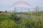 Proprietate specială, de 3,100 mp, în Măieruș - 15