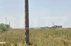 Teren Intravilan 1Ha Front 70 Ml Buda - 2