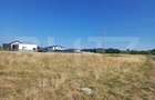 Teren intravilan, 907 mp, Copaceni