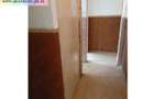 Apartament 3 camere de vanzare : Malu Rosu - 6