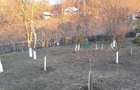 Vanzare teren 7582 mp + casa, sat Poiana Trestiei, Com. Cosminele, Jud. Prahova - 3