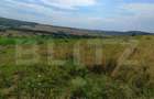 Teren extravilan de 6500 mp, în Zalău - 10
