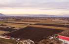Teren intravilan de 5000 mp, în Stupini - 2