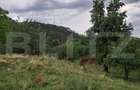 Casă individuală cu 4 camere cu Teren 6000 Mp în Iara - 10