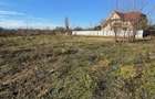 Loturi de teren de vanzare in Bacau, Calea Moldovei, jud. Bacau - 6