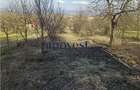 De vanzare teren extravilan in Orasul Nou - 4