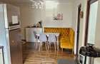 Apartament 2 dormitoare si bucatarie open space - Parneava - 3