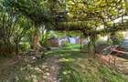 Apartament-2-Camere-Decomandat-La-Casa-Pivnita-Pod-Curte-Comuna - 13