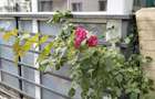 Apartament 2 camere la parter cu curte proprie in proprietate