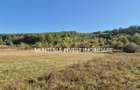 Teren 6600 mp. intravilan+constructii,Com. Draganu, Bascov - 1