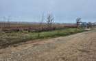 Teren de 10000 mp, în Balotești - 2