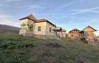 Teren 4.443 mp(intr+extra)+constructii vechi Nicolae Balcescu, Ple?oiu jud Valcea - 9