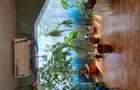 Apartament cu 2 camere semidecomandat în Soarelui - 3