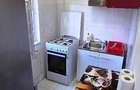 Proprietar inchiriez apartament cu o camera Iulius Mall - 3