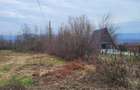 Teren intravilan 2.200 mp Unguriu/Buzau - 3