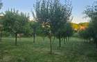 Vand teren intravilan, 950mp in sat Topircea jud. Sibiu - 4