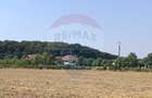 Teren Construcții intravilan de 650 mp, în Ghermănești - 5