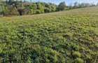 RECO, teren intravilan, Zona Sinteu, Bihor - 1