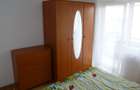 Proprietar ap 2 camere decomandat centrala gaz clima Lipovei Iulius - 8