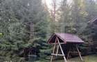 2 Cabane lemn Vadu Negrilesei, 96MP, 1100 MP teren, 45k