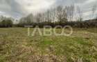 Teren intravilan de vanzare 550m front 21 m utilitati la 120m Cisnadie - 2