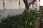 Casă cu 4 camere în Exterior Vest - 1