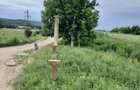 Teren extravilan de 4900 mp, în Boldești - 7