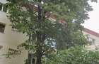 Apartament cu 3 camere semidecomandat în Brâncoveanu - 3
