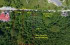 Teren Construcții intravilan de 3000 mp, în Dâmbul Morii - 2
