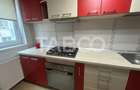 Apartament cu 2 camere decomandat în Turnișor - 4
