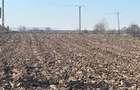 Teren intravilan de 7800 mp, în Pătrăuți - 1 Teren intravilan de 7800 mp, în Pătrăuți - 1