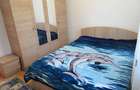 Apartament cu 2 camere semidecomandat în Rahova - 9